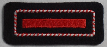 Brandmeister/-in