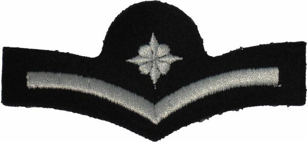 Abzeichen Brandmeister/-in als Abteilungsleiter/-in BWÜ