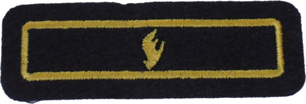 Funktionsabzeichen "Stadt-/Kreisjuugendfeuerwehrwart" Hessen